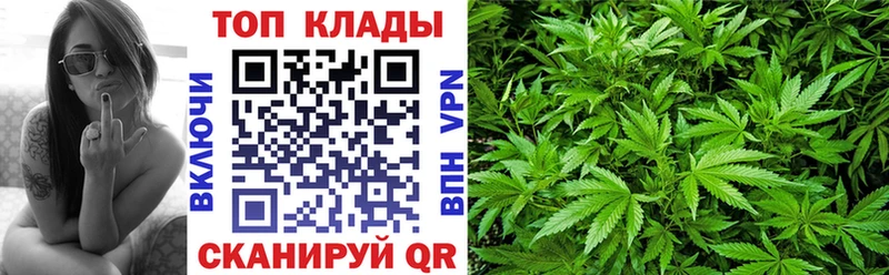 Бошки Шишки Волгореченск