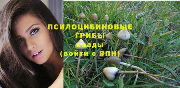 не бодяженный Белокуриха