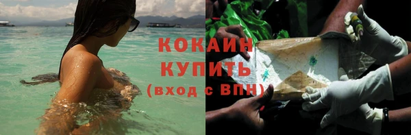 ПСИЛОЦИБИНОВЫЕ ГРИБЫ Белоозёрский