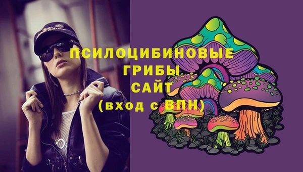 ПСИЛОЦИБИНОВЫЕ ГРИБЫ Белоозёрский