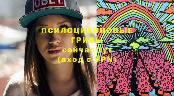 ПСИЛОЦИБИНОВЫЕ ГРИБЫ Белоозёрский