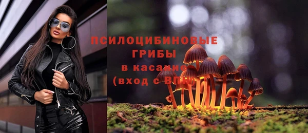 ПСИЛОЦИБИНОВЫЕ ГРИБЫ Белоозёрский